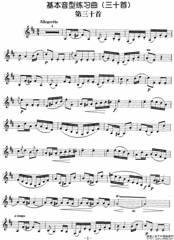 基本音型练习曲第三十首