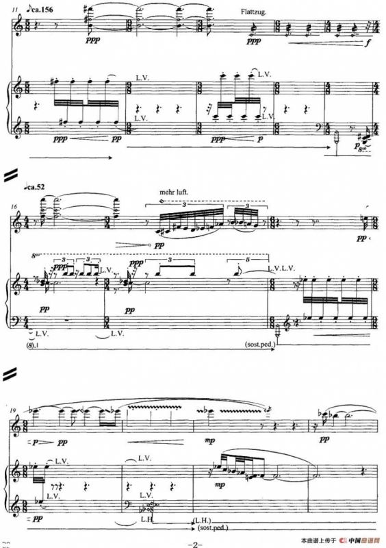 翔舞于无极之野（竹笛+钢琴）