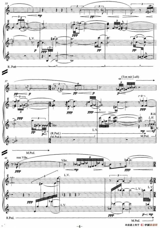 翔舞于无极之野（竹笛+钢琴）