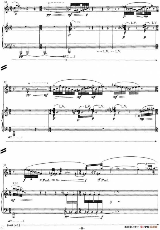 翔舞于无极之野（竹笛+钢琴）