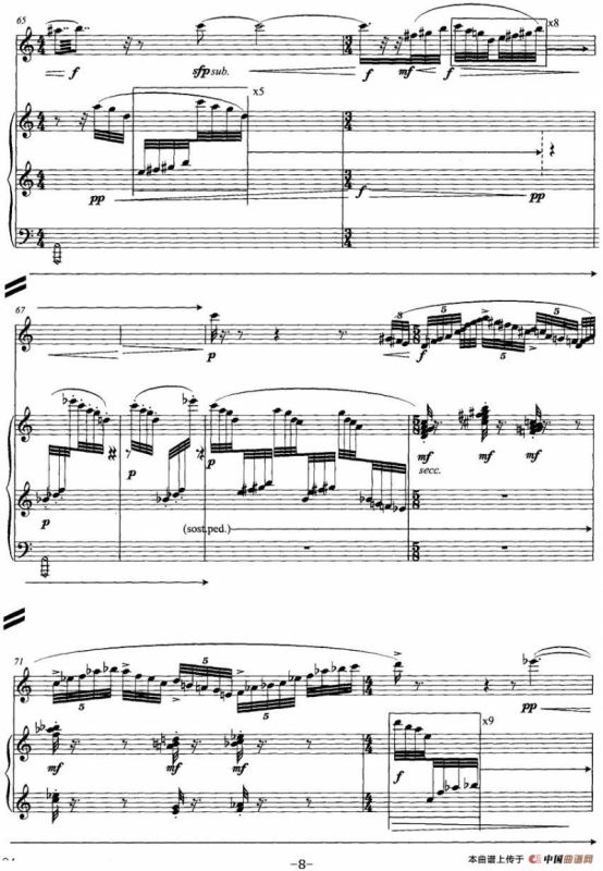 翔舞于无极之野（竹笛+钢琴）