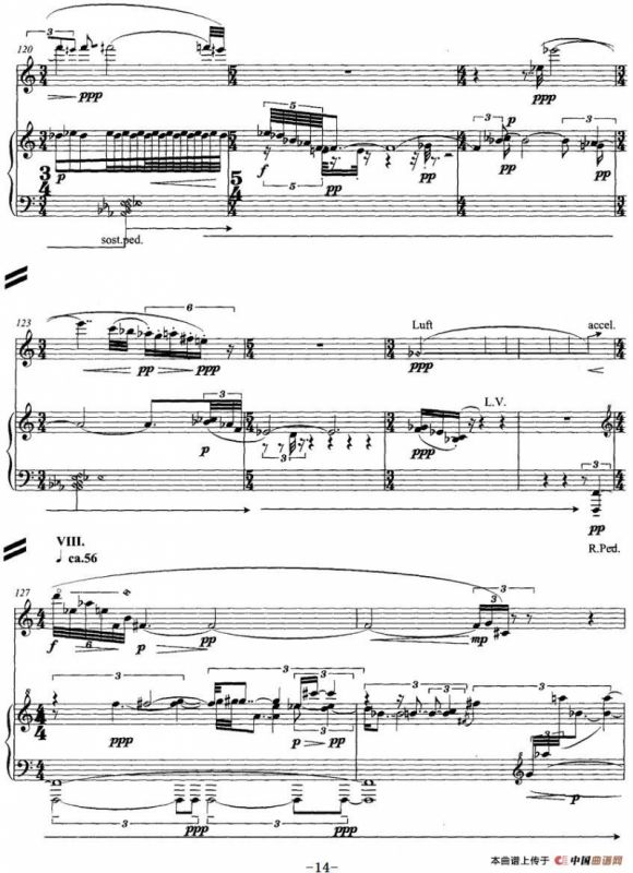 翔舞于无极之野（竹笛+钢琴）