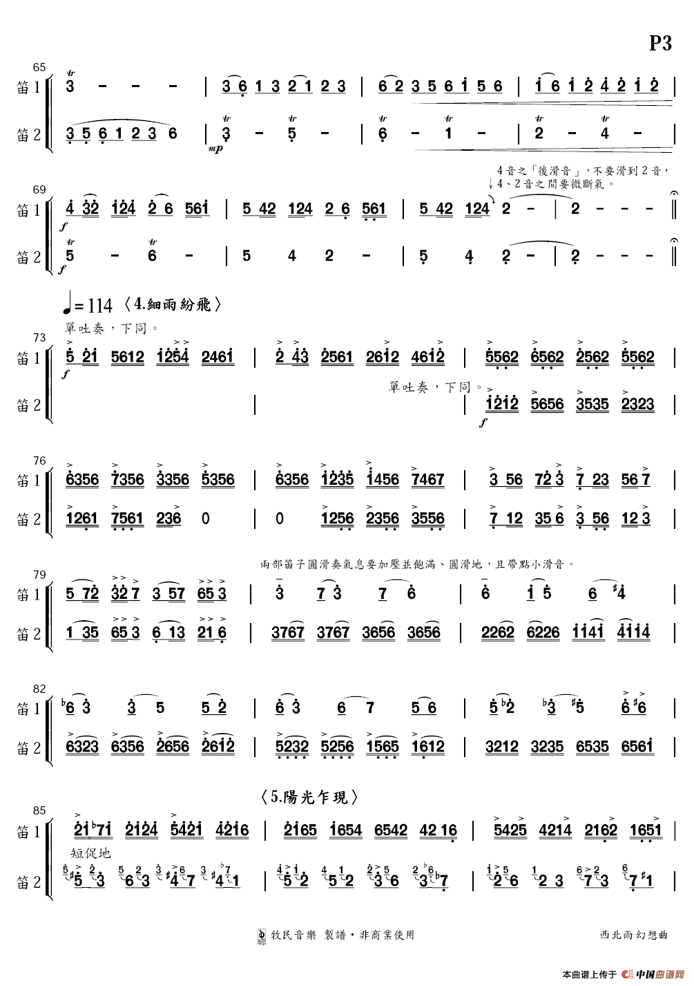 西北雨幻想曲（双笛+民族乐团）