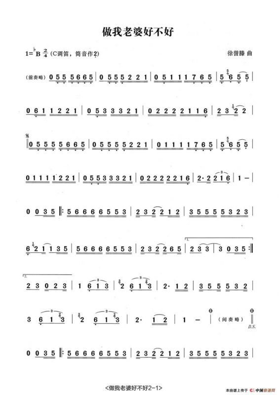 做我老婆好不好（笛子演奏谱）
