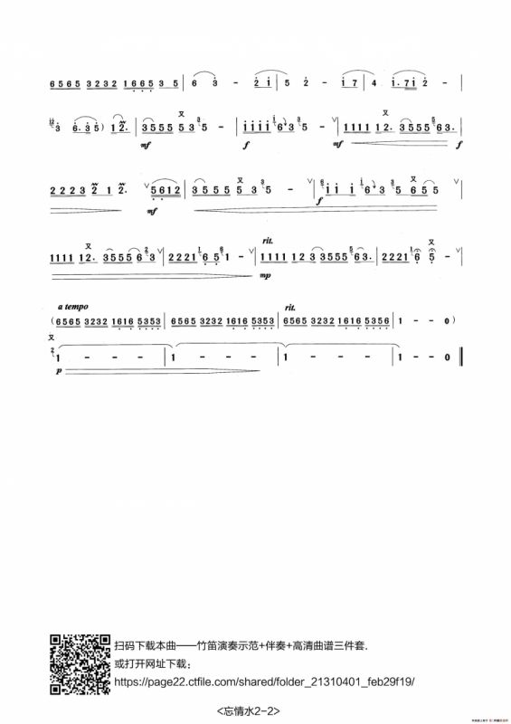 忘情水（张宏笛子制谱版）