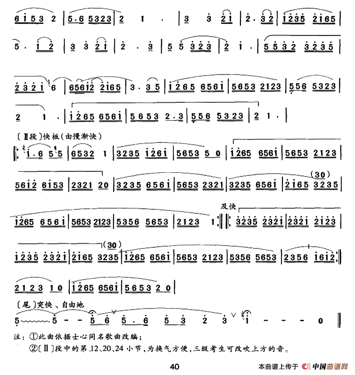 小白杨（曲笛）