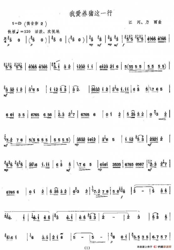 我爱养猪这一行