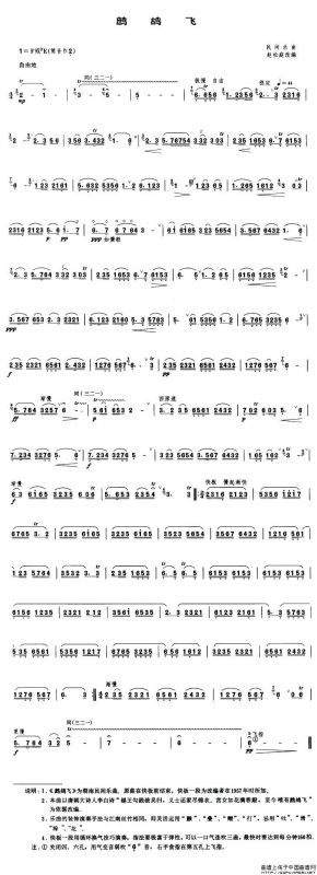 鹧鸪飞（赵松庭改编版）