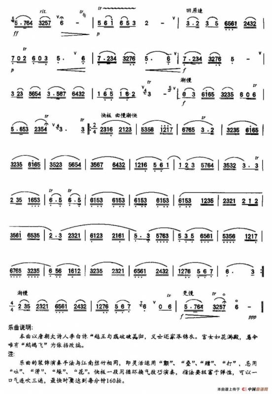 鹧鸪飞（赵松庭改编版）