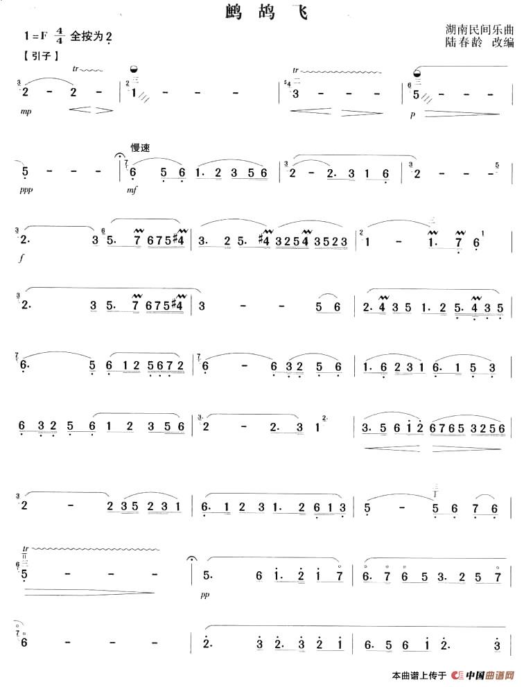 鹧鸪飞（陆春龄改编版）