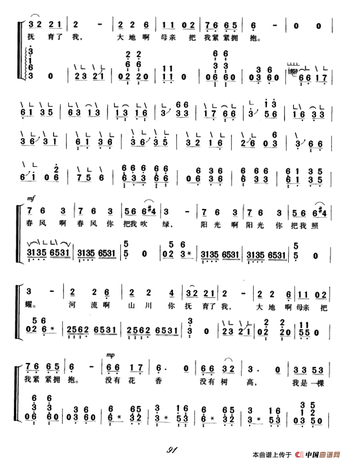 小草（弹唱谱）