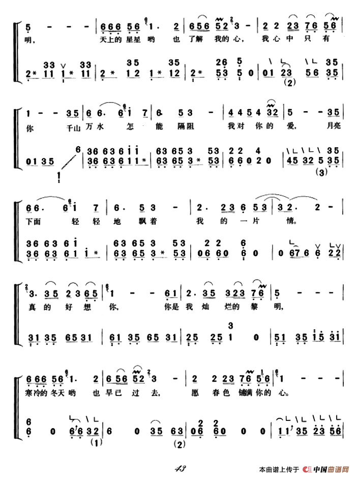 真的好想你（弹唱谱）