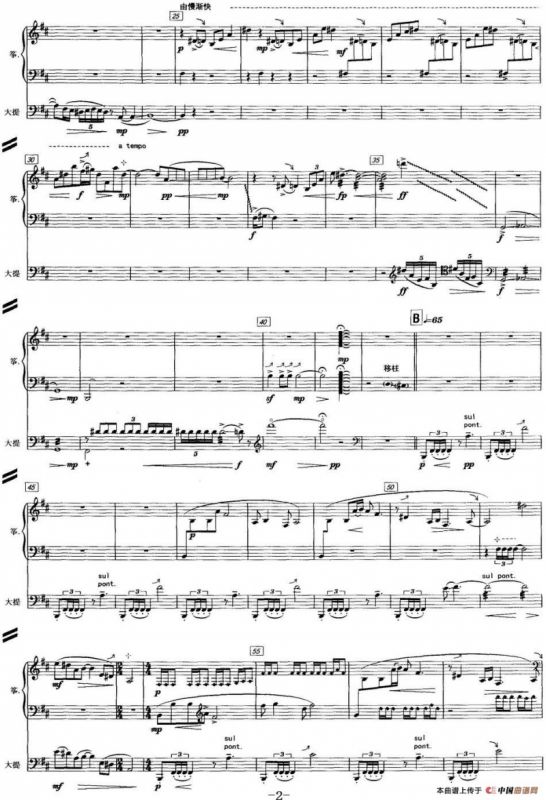 月下长弦（古筝+大提琴）