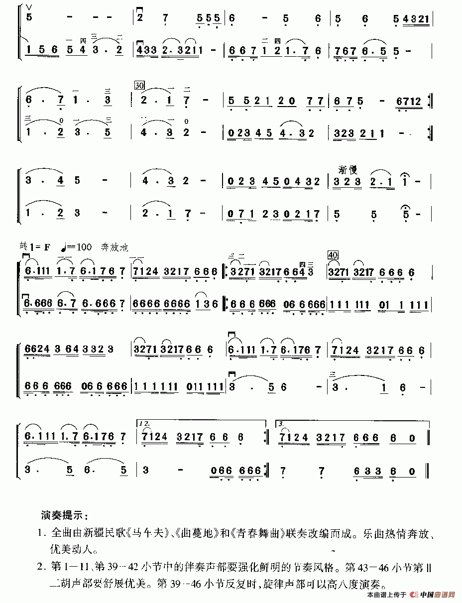 天山情怀（二重奏）