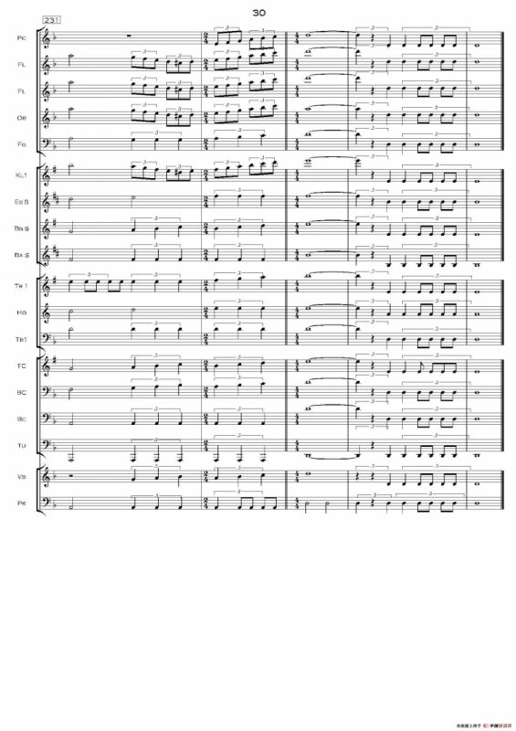 加勒比海盗交响组曲（PIRATES OF THE CARIBBEAN）（交响总谱）