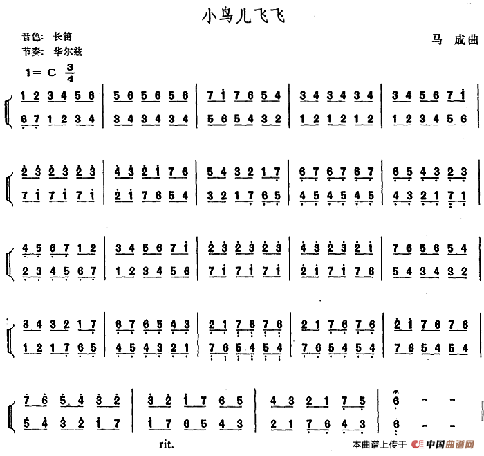 幼儿律动音乐：小鸟儿飞飞