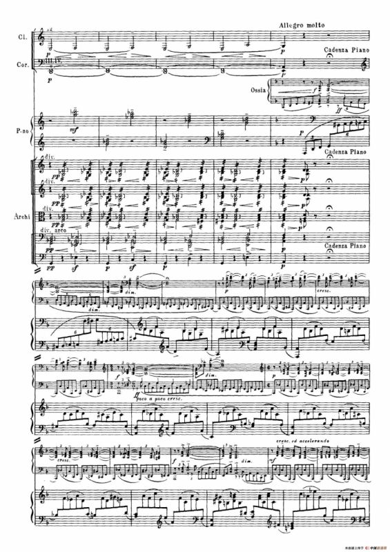 拉赫玛尼诺夫第三钢琴协奏曲总谱完整版（P21—40）