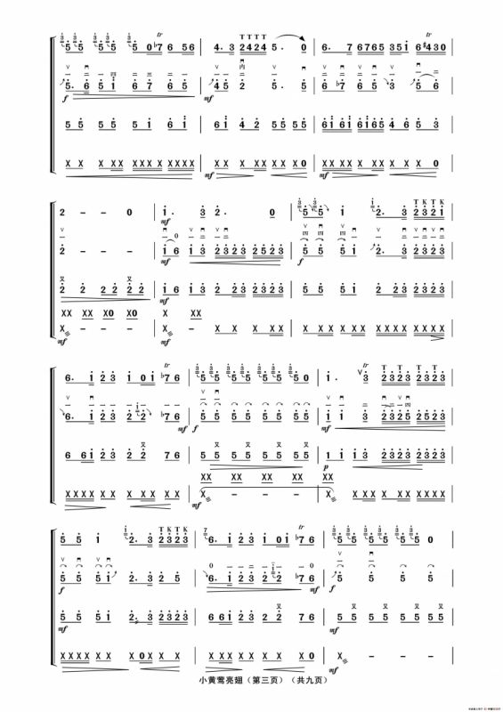 小黄莺亮翅（二人台牌子曲、民乐合奏）