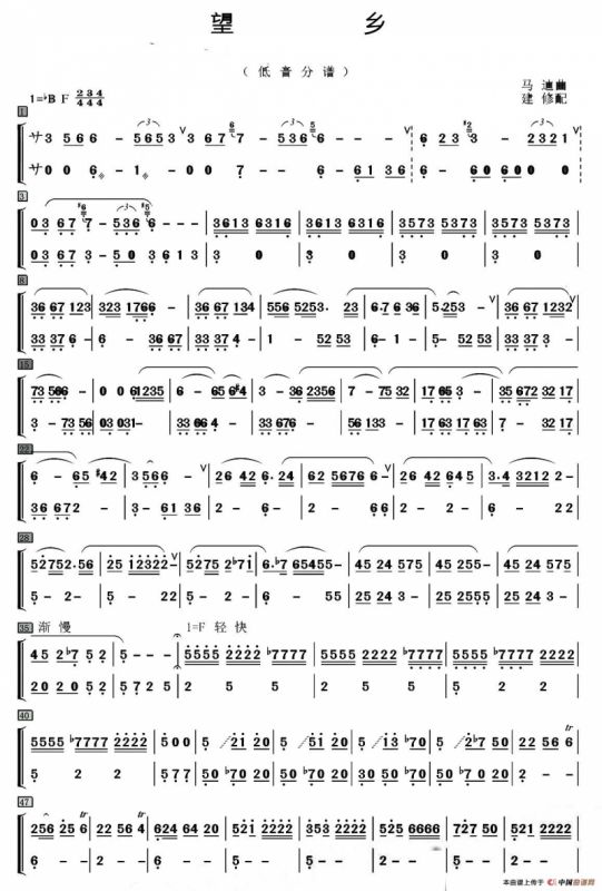 望乡（笛子独奏+乐队伴奏低音分谱）