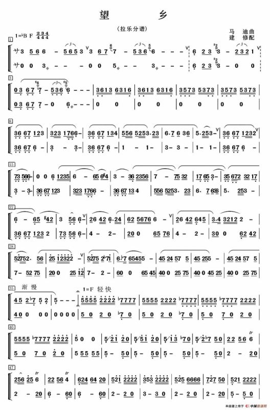 望乡（笛子独奏+乐队伴奏拉弦分谱）