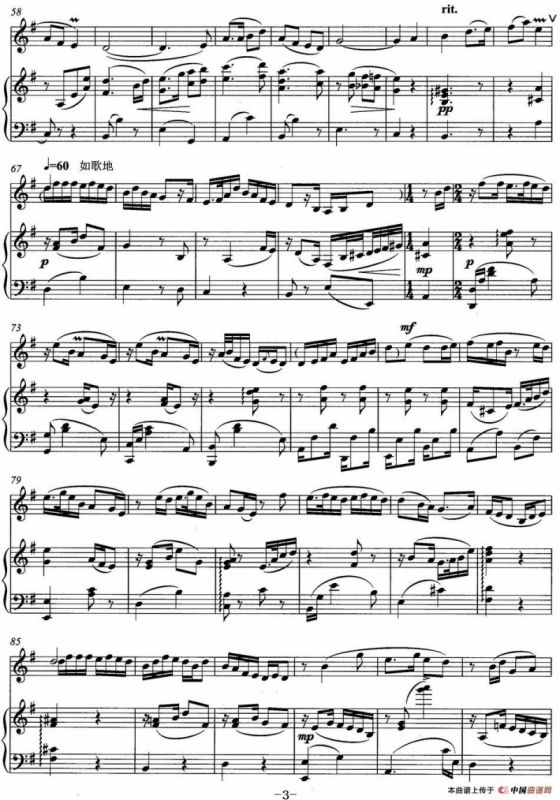 柳琴情韵（唢呐独奏）