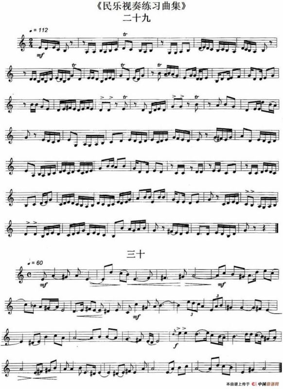 民乐视奏练习曲集（29—32）