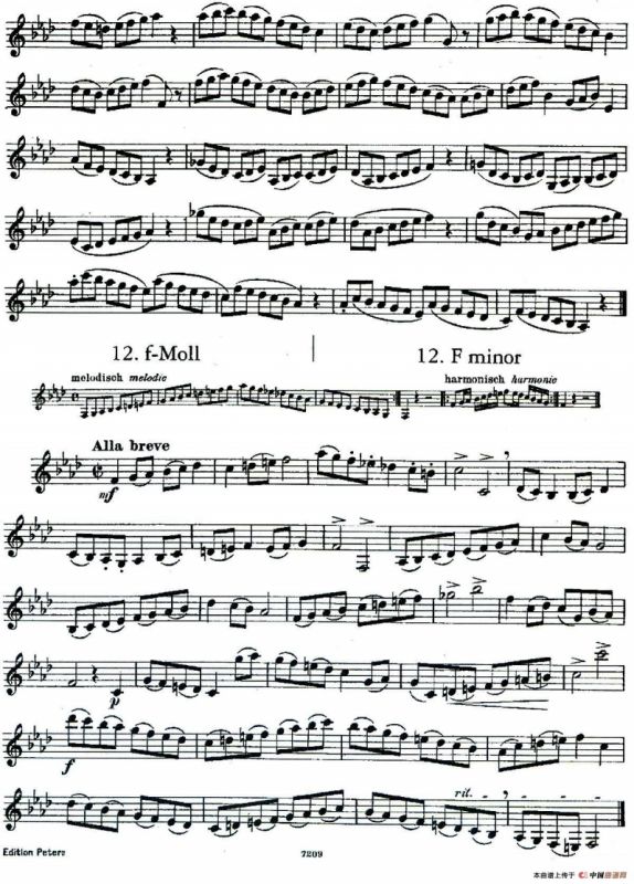 DEMNITZ（单簧管练习曲）