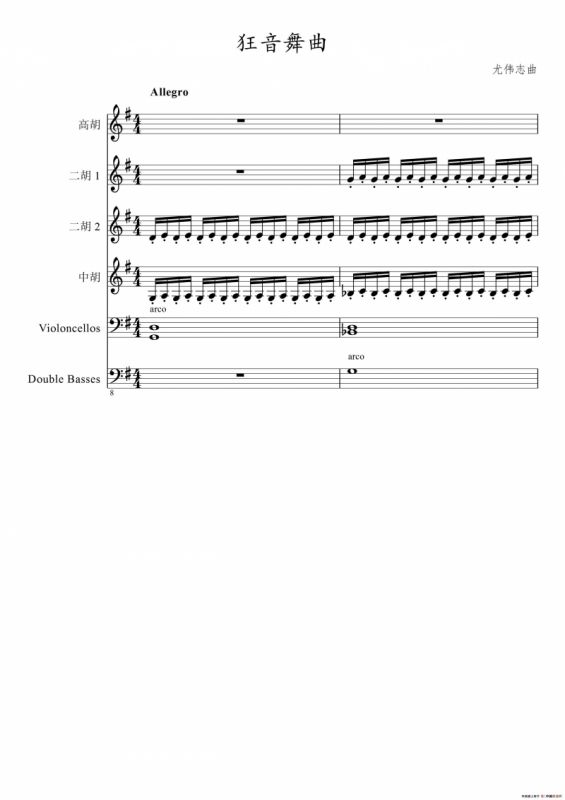 狂音舞曲（中华传统弦乐齐奏）