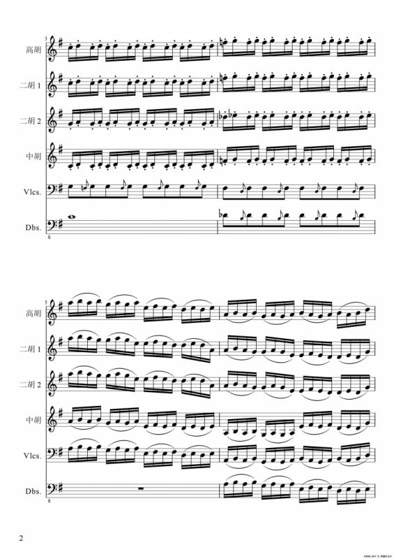 狂音舞曲（中华传统弦乐齐奏）