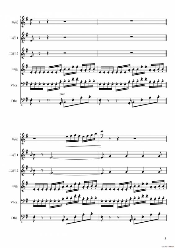 狂音舞曲（中华传统弦乐齐奏）