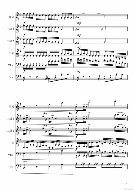 狂音舞曲（中华传统弦乐齐奏）