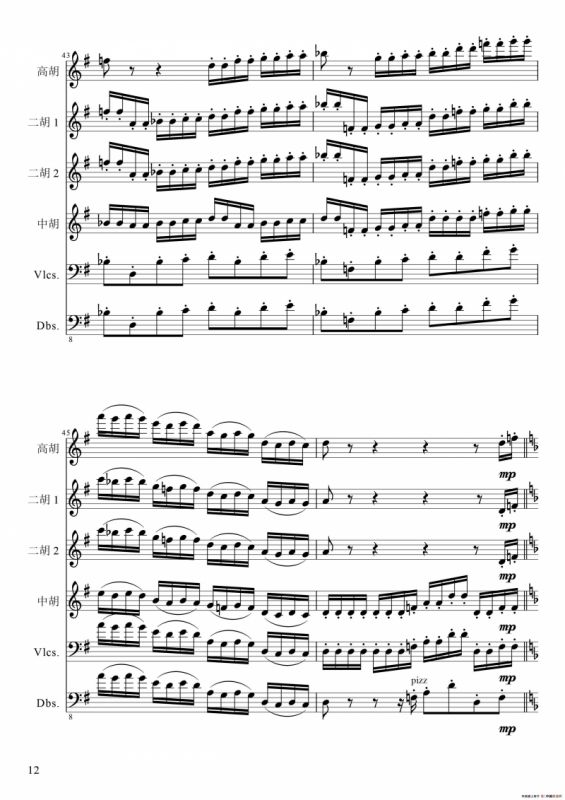 狂音舞曲（中华传统弦乐齐奏）