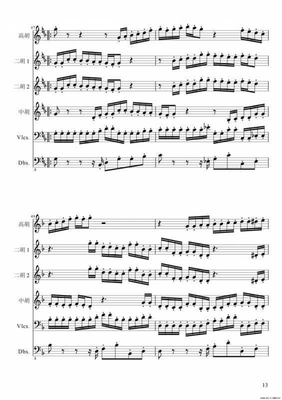 狂音舞曲（中华传统弦乐齐奏）