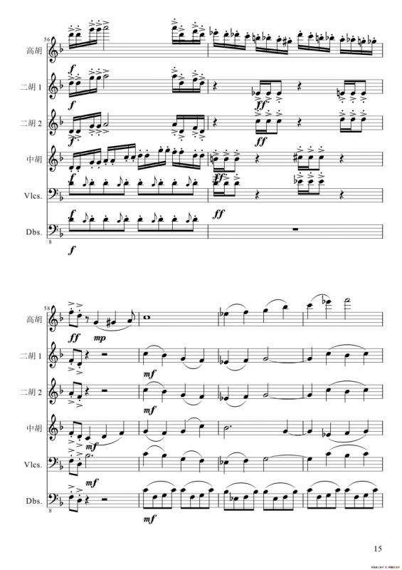 狂音舞曲（中华传统弦乐齐奏）