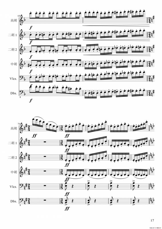 狂音舞曲（中华传统弦乐齐奏）