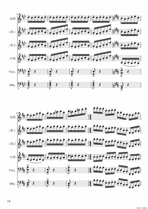 狂音舞曲（中华传统弦乐齐奏）