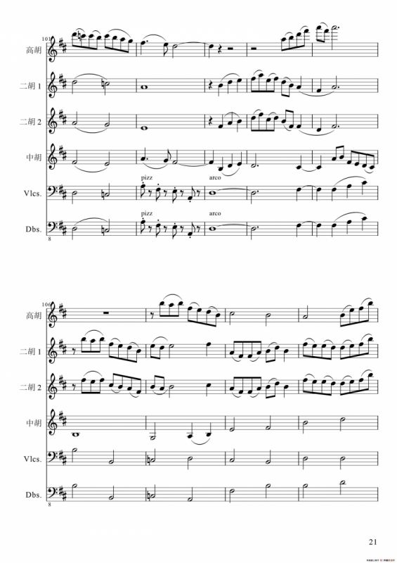 狂音舞曲（中华传统弦乐齐奏）