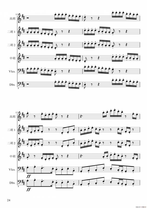 狂音舞曲（中华传统弦乐齐奏）