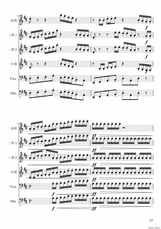 狂音舞曲（中华传统弦乐齐奏）