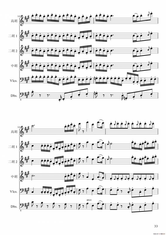 狂音舞曲（中华传统弦乐齐奏）