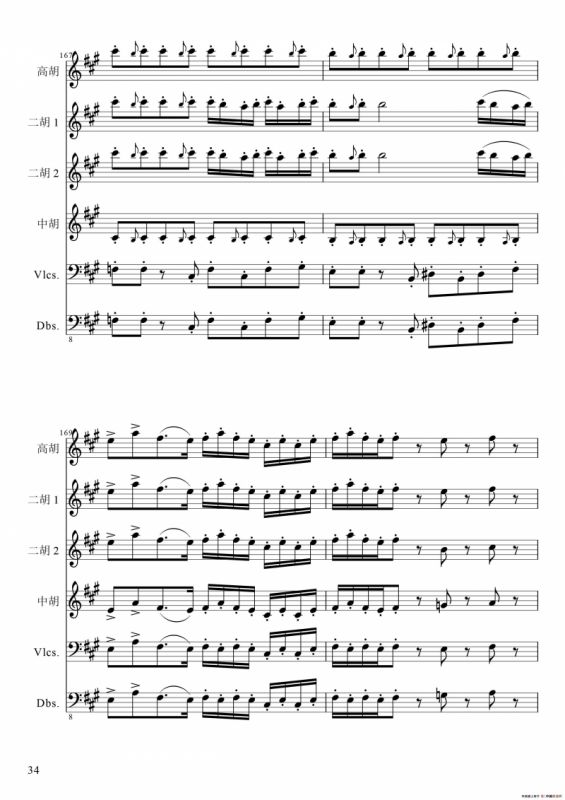 狂音舞曲（中华传统弦乐齐奏）