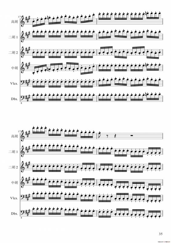 狂音舞曲（中华传统弦乐齐奏）