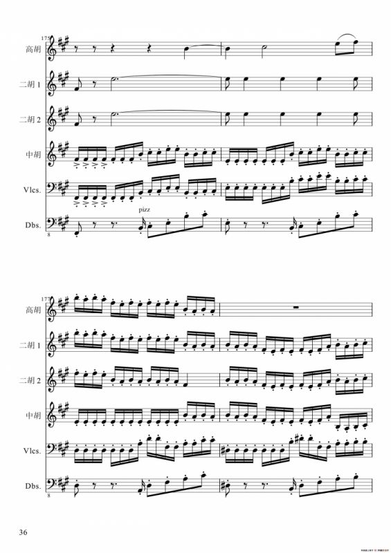 狂音舞曲（中华传统弦乐齐奏）