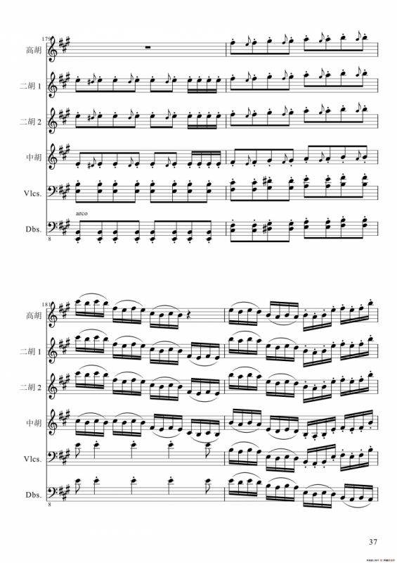 狂音舞曲（中华传统弦乐齐奏）