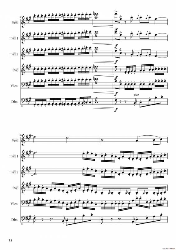 狂音舞曲（中华传统弦乐齐奏）