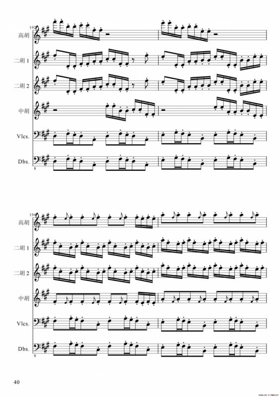 狂音舞曲（中华传统弦乐齐奏）