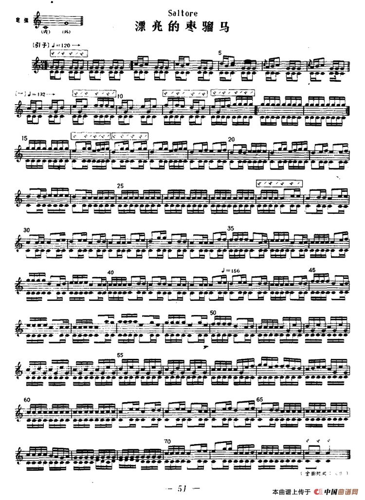 漂亮的枣骝马（冬不拉）