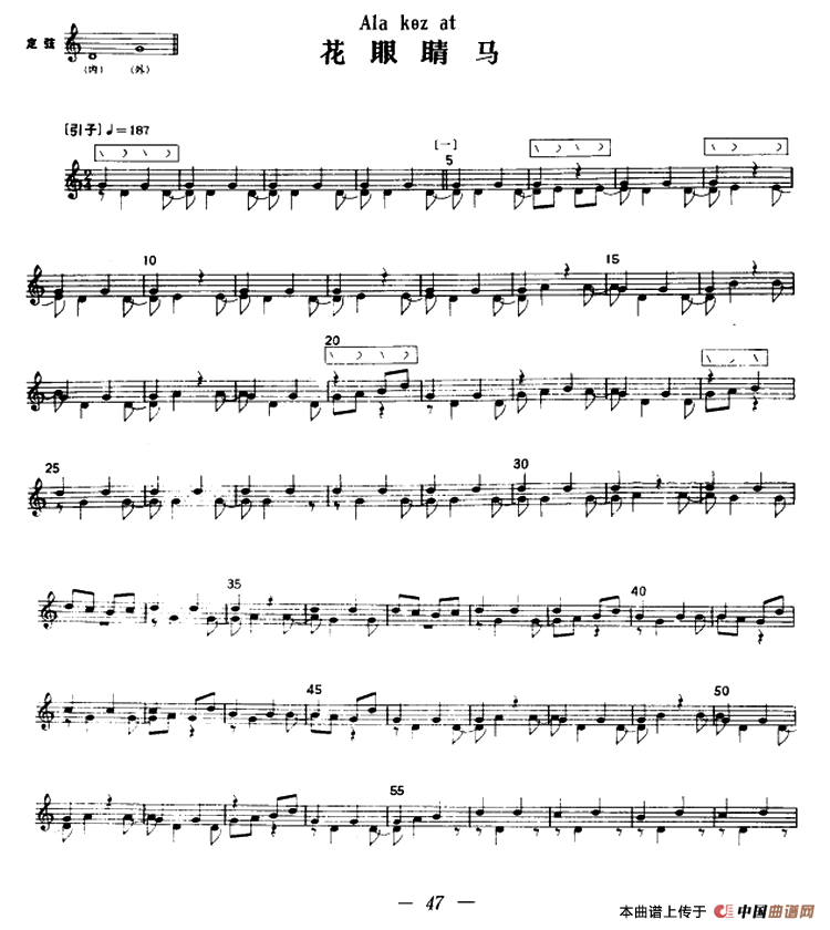 花眼睛马（冬不拉）