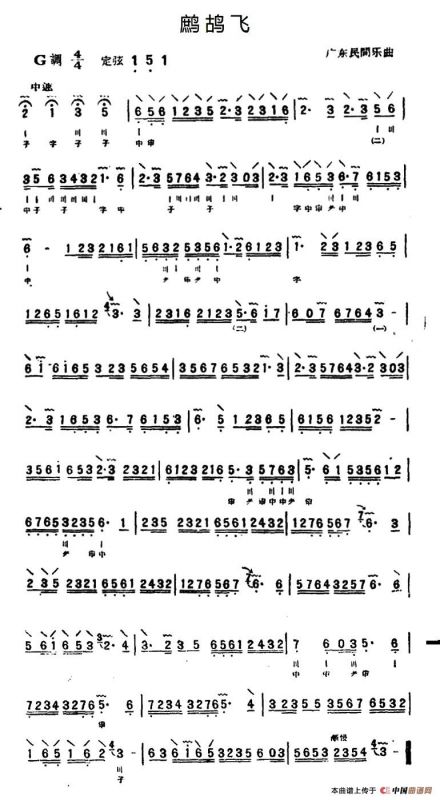 鹧鸪飞（三弦）