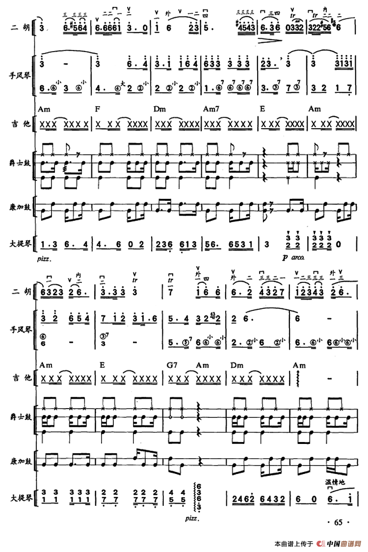 哈瓦那之夜?古巴（二胡、手风琴、吉他和弦击乐组合）